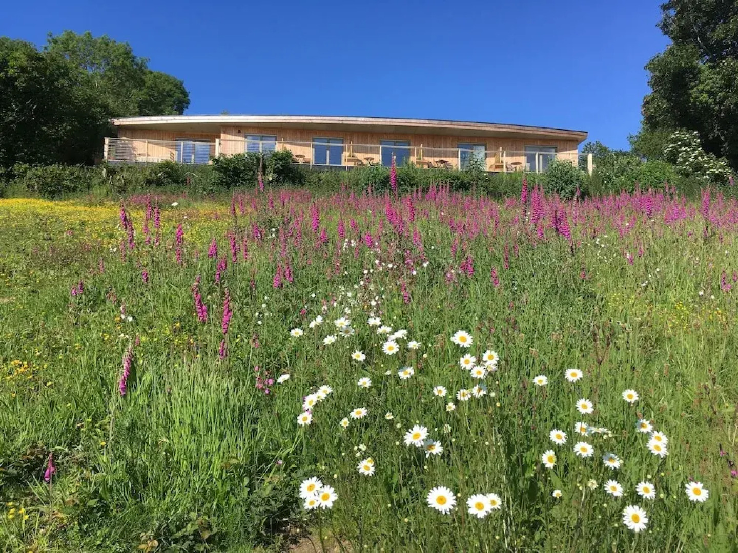 The Sanctuary Cornwall