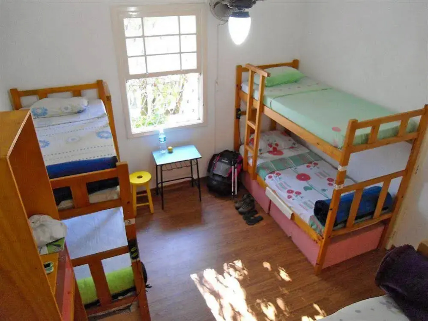 3Dogs Hostel São Paulo