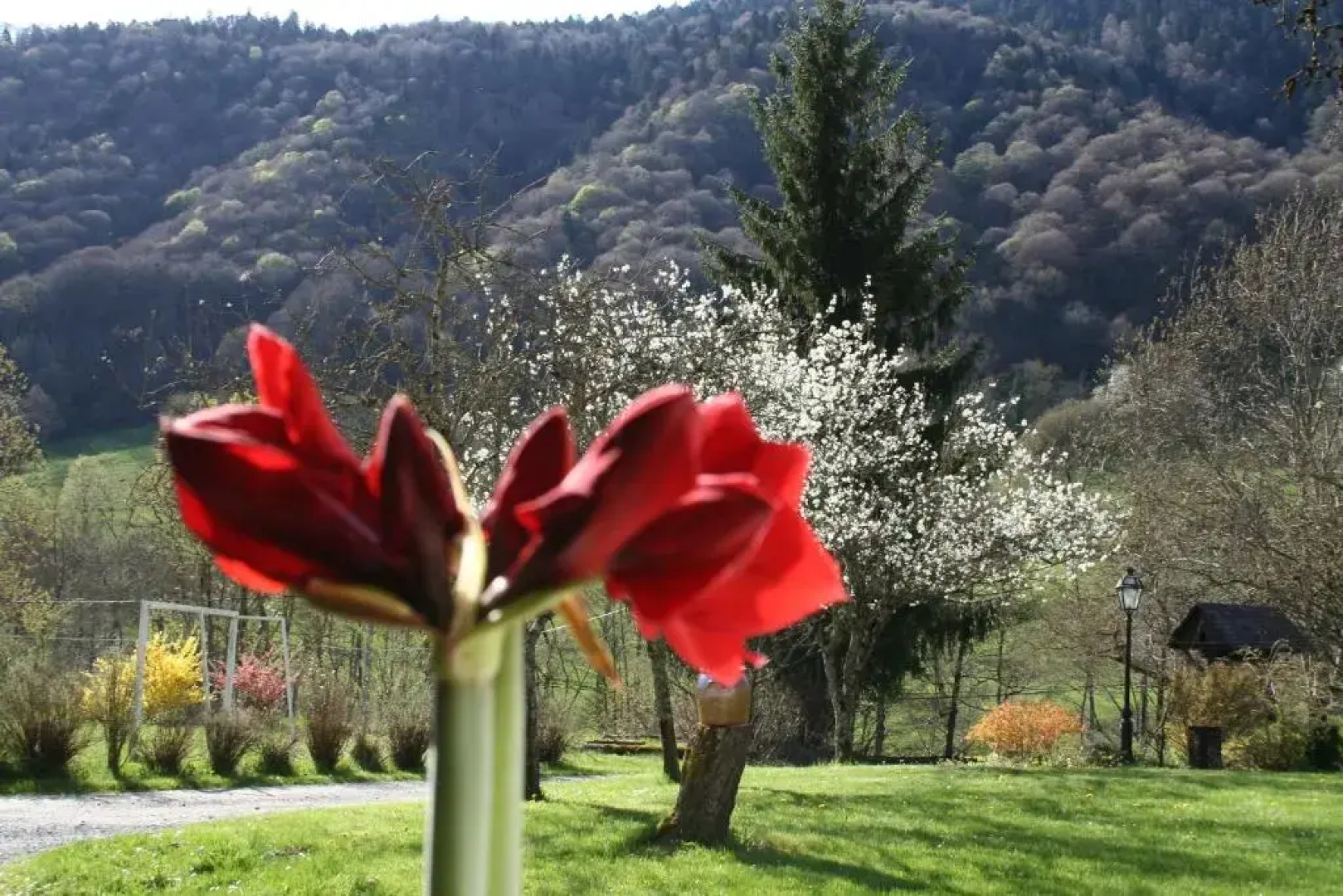 Garden & City Bagnères-de-Bigorre - Domaine de Ramonjuan