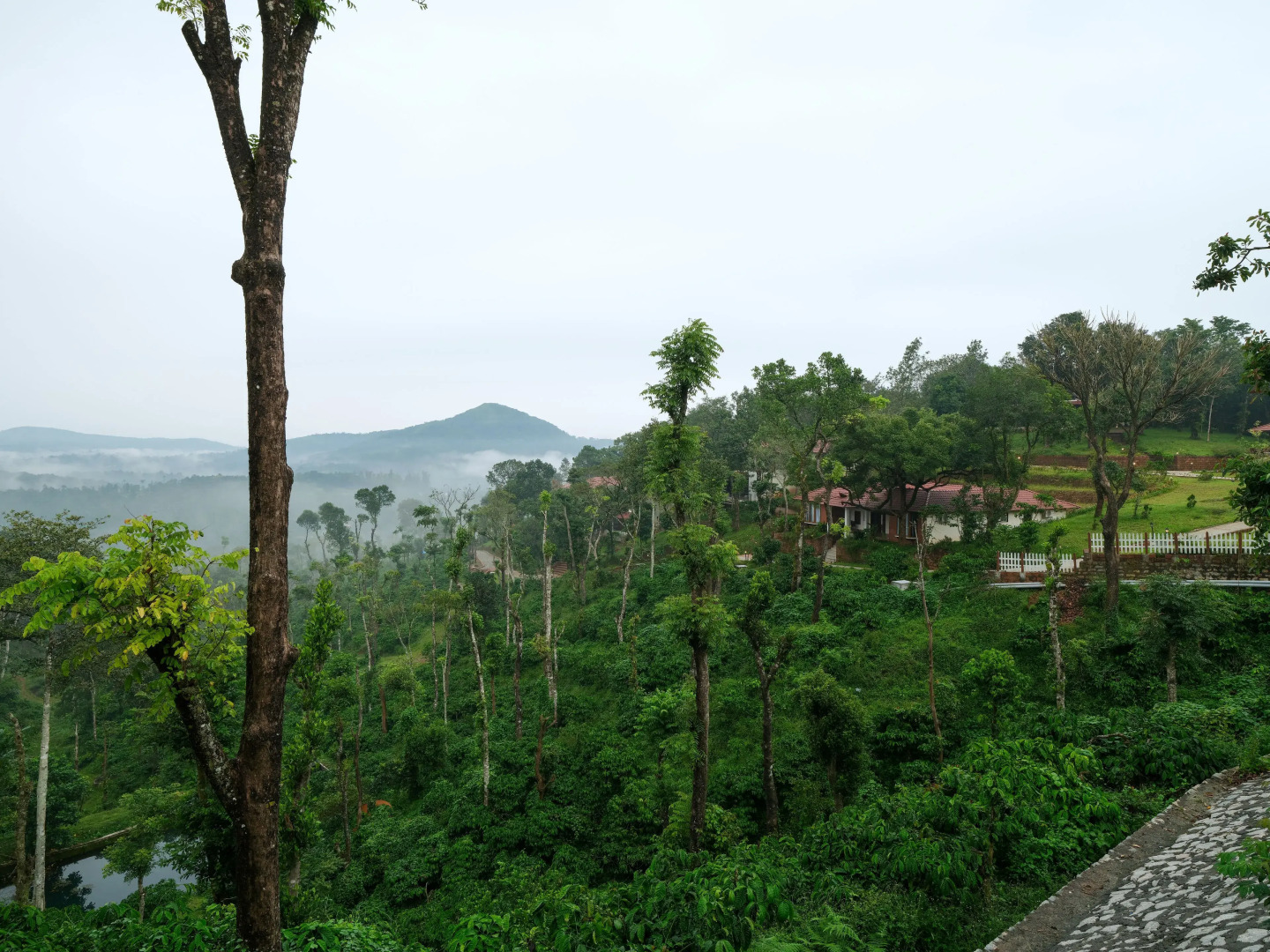 Tapovana The Fern Heritage Resort, Sakleshpur