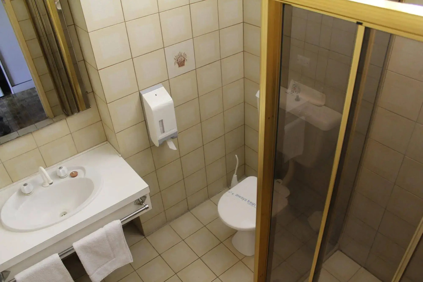 Sandpipers at Millicent