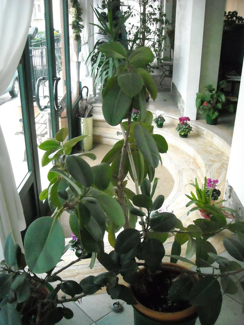 Albergo La Posta Arezzo