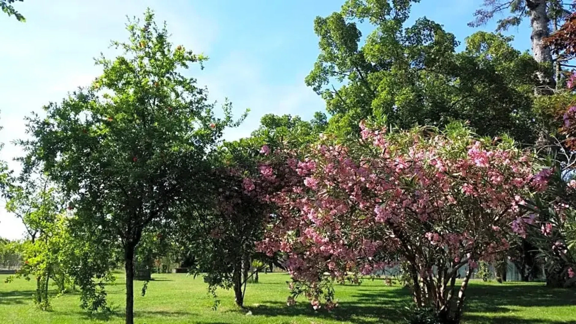 Locanda di Casa Spadoni