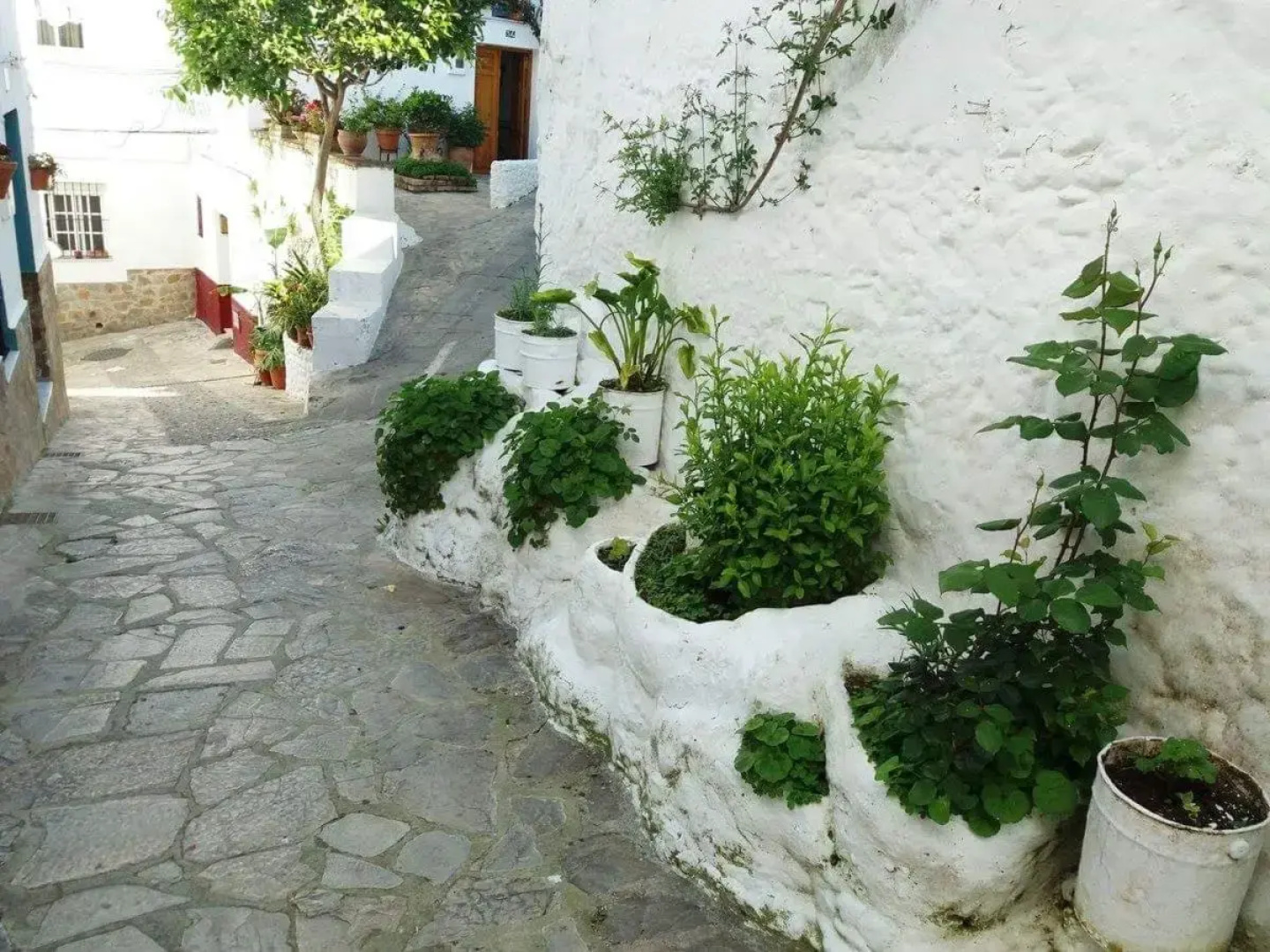 Alvarado Loft Rural