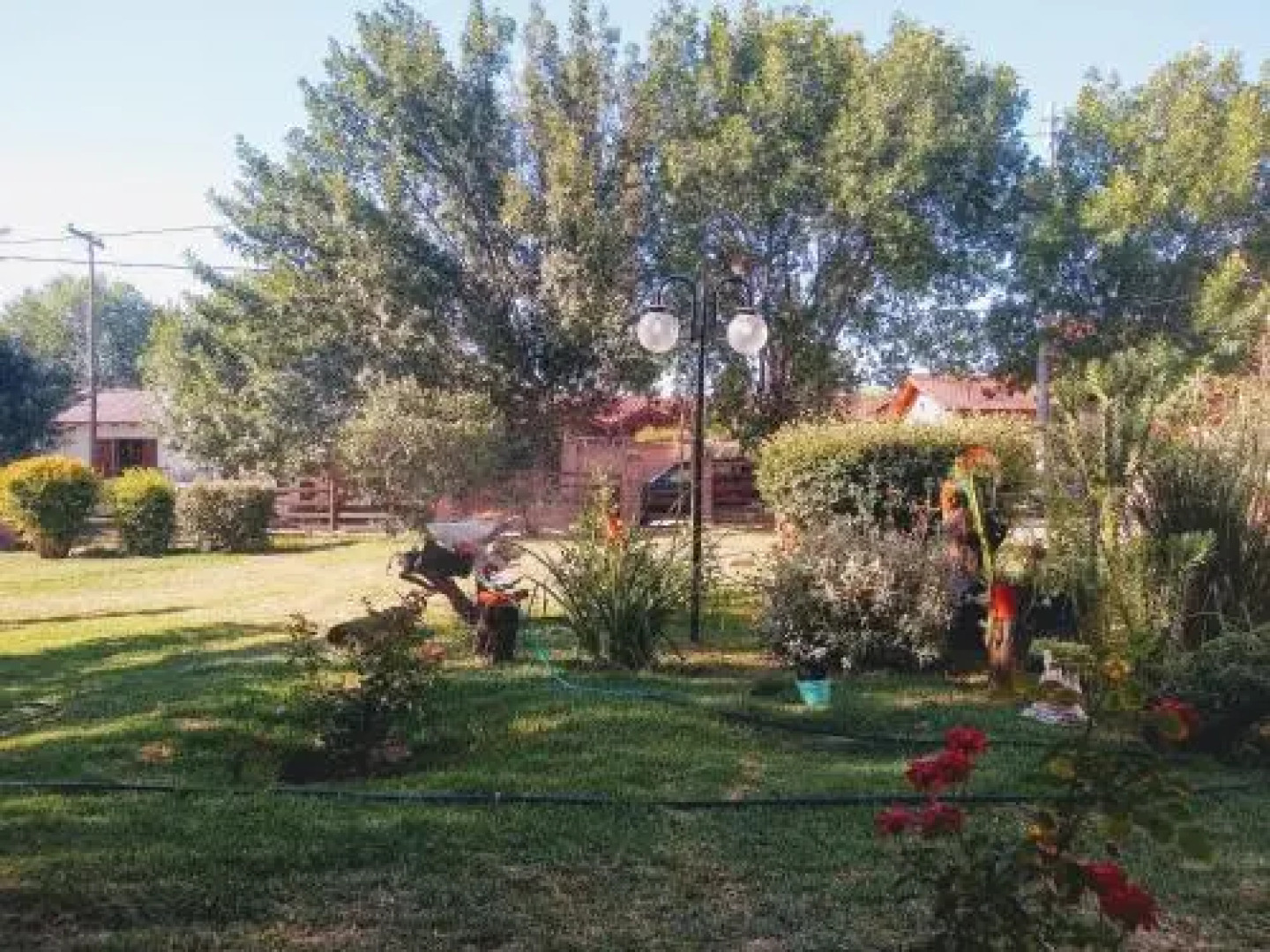 Complejo Viejo Sulky