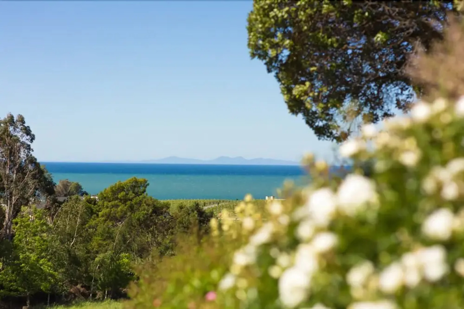 Clayridge House and cottage