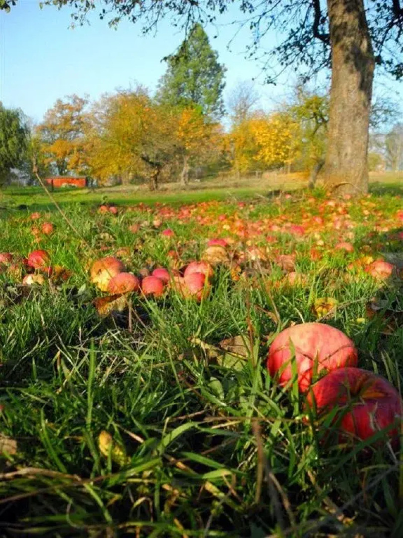 Romantik Hotel Rittergut Bömitz