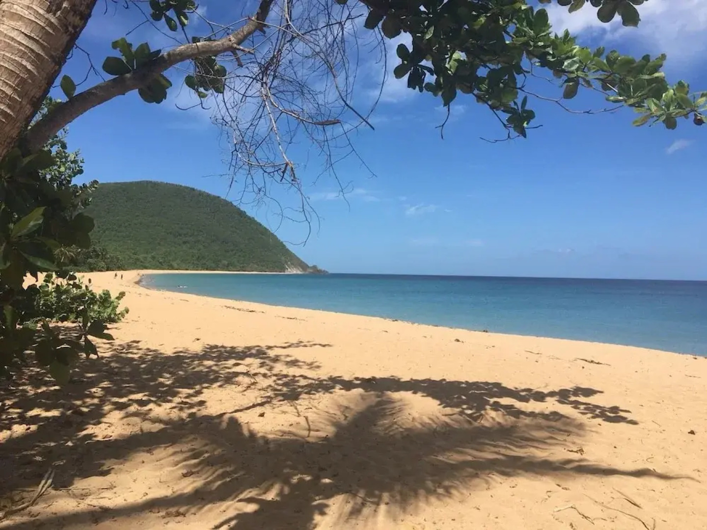 Au Jardin Des Colibris Ecolodge&Spa