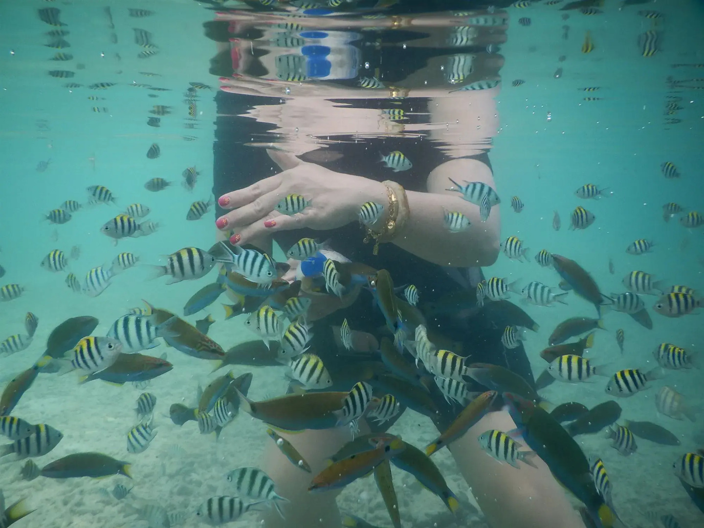 Sari Pacifica Hotel, Resort & Spa Lang Tengah