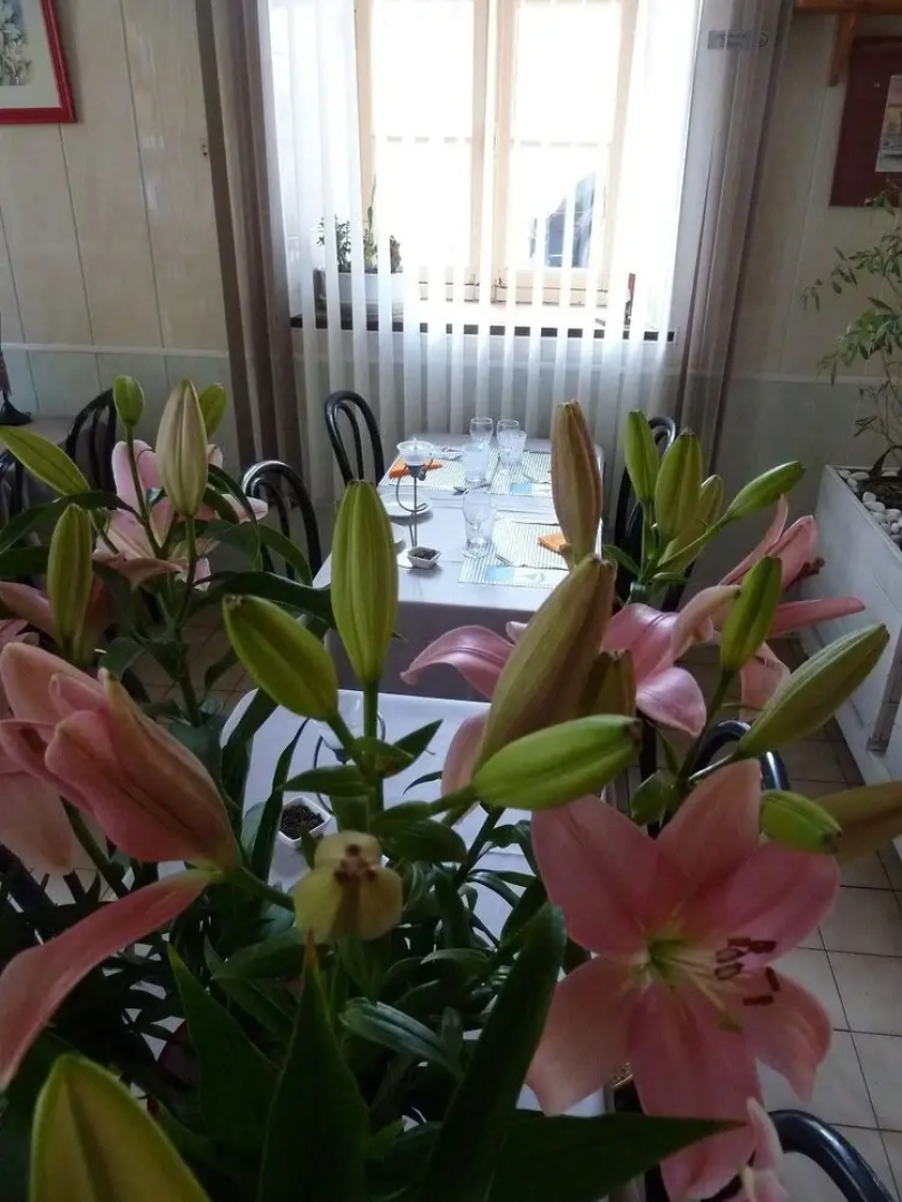 Hotel Restaurant Les Paquebots