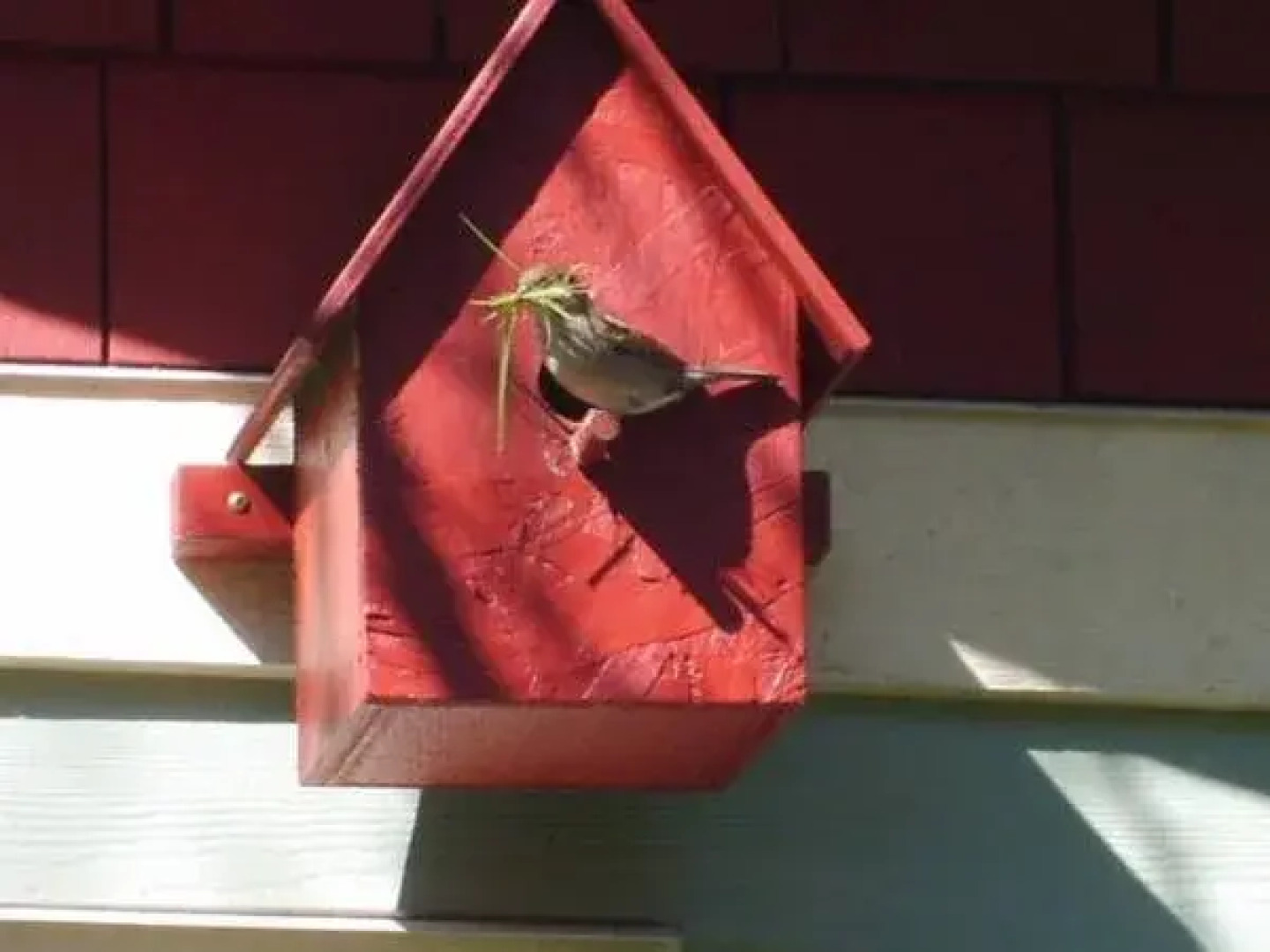 A Scented Garden Bed and Breakfast