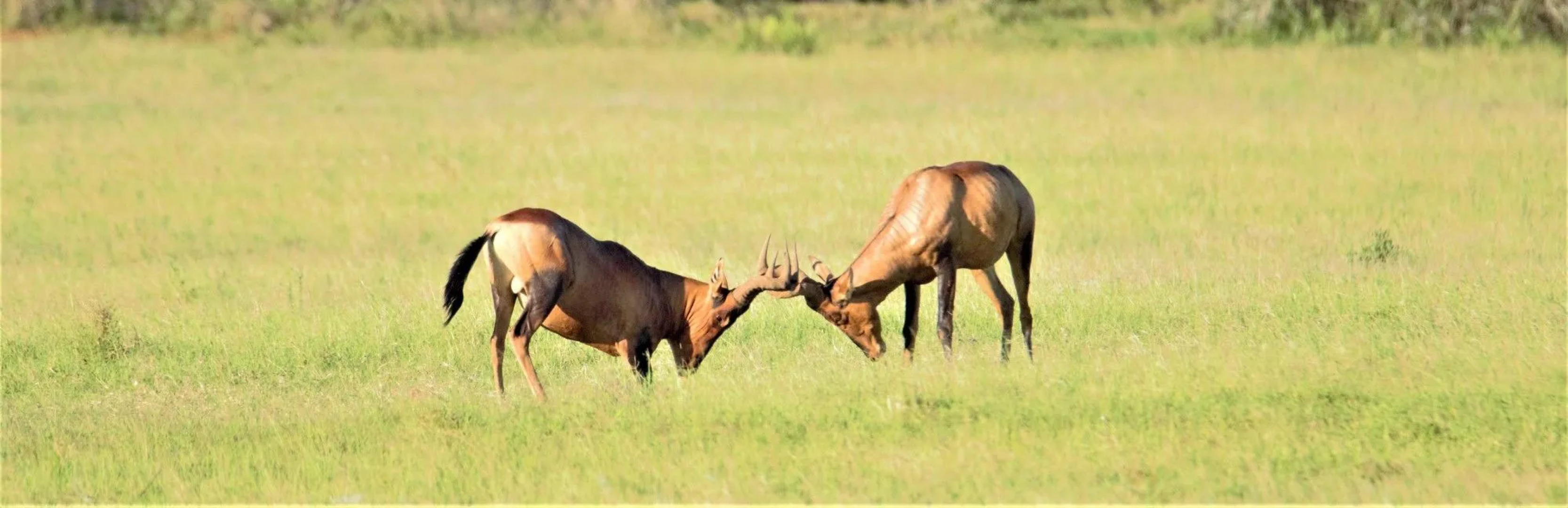 Hitgeheim Country Lodge & Eco Reserve