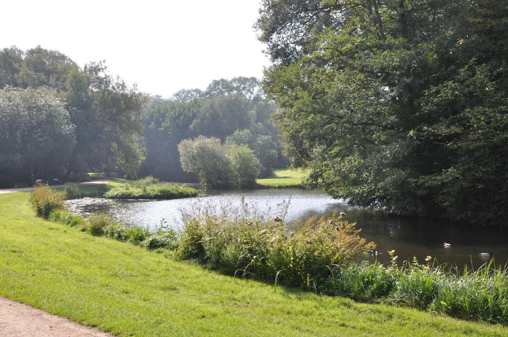Отель Munte-Wellnesshotel am Stadtwald