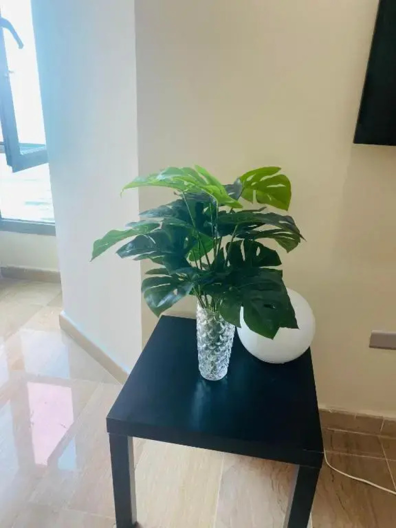 Malecón vista mar Habitación Privada Larimar, 829-343-1001