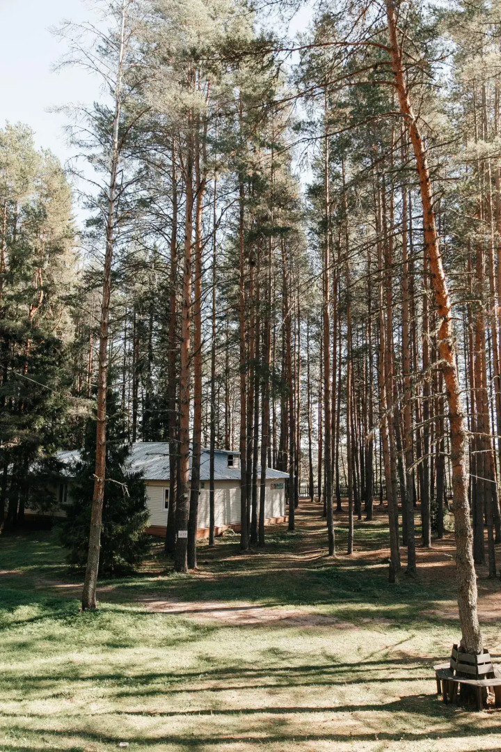 Северная Звезда