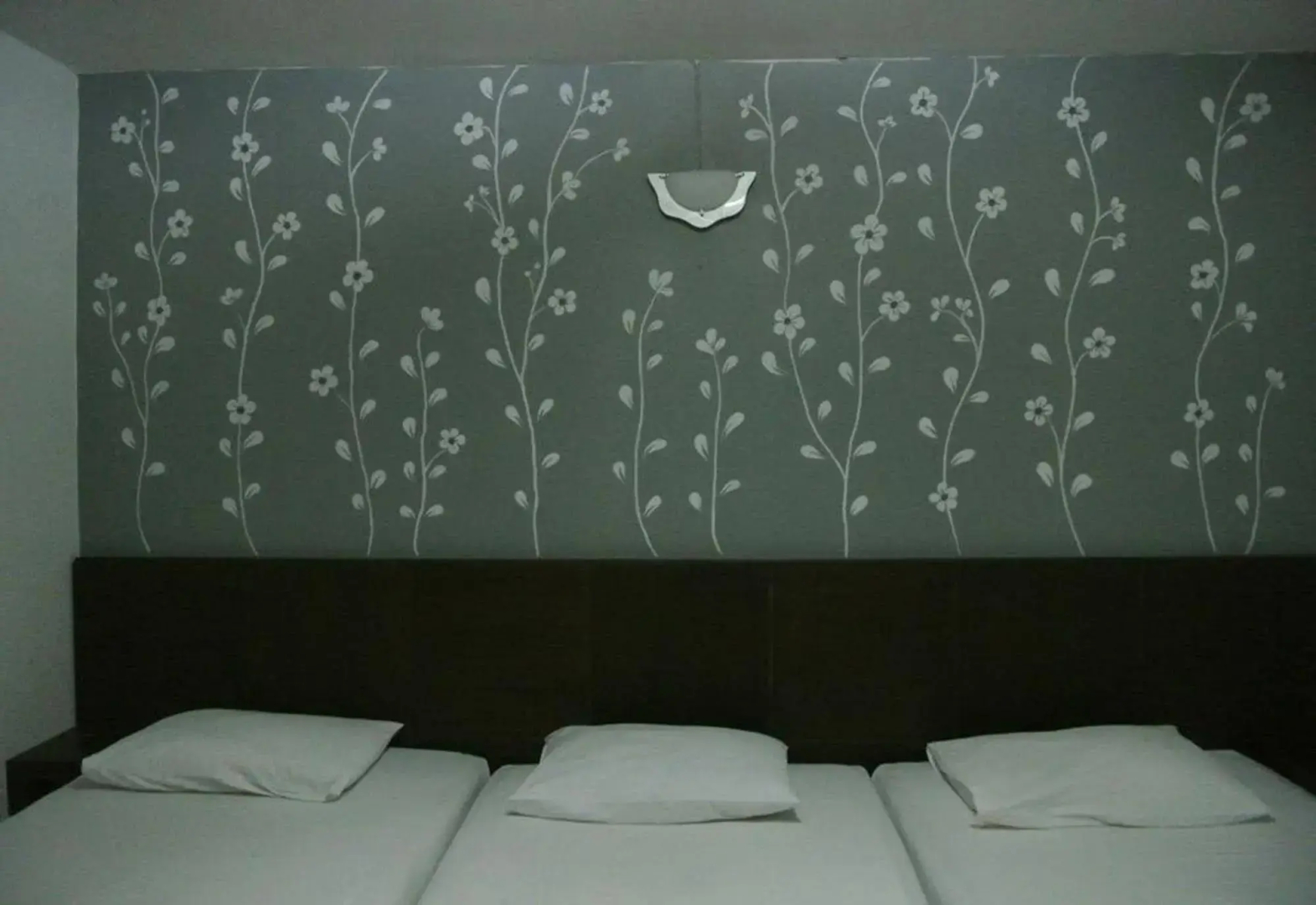 Phang Nga Guesthouse