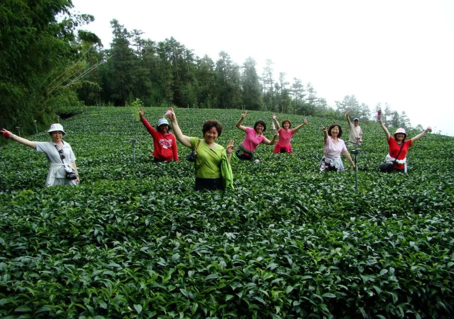 Alishan B&B Yunmingi Aliscenery