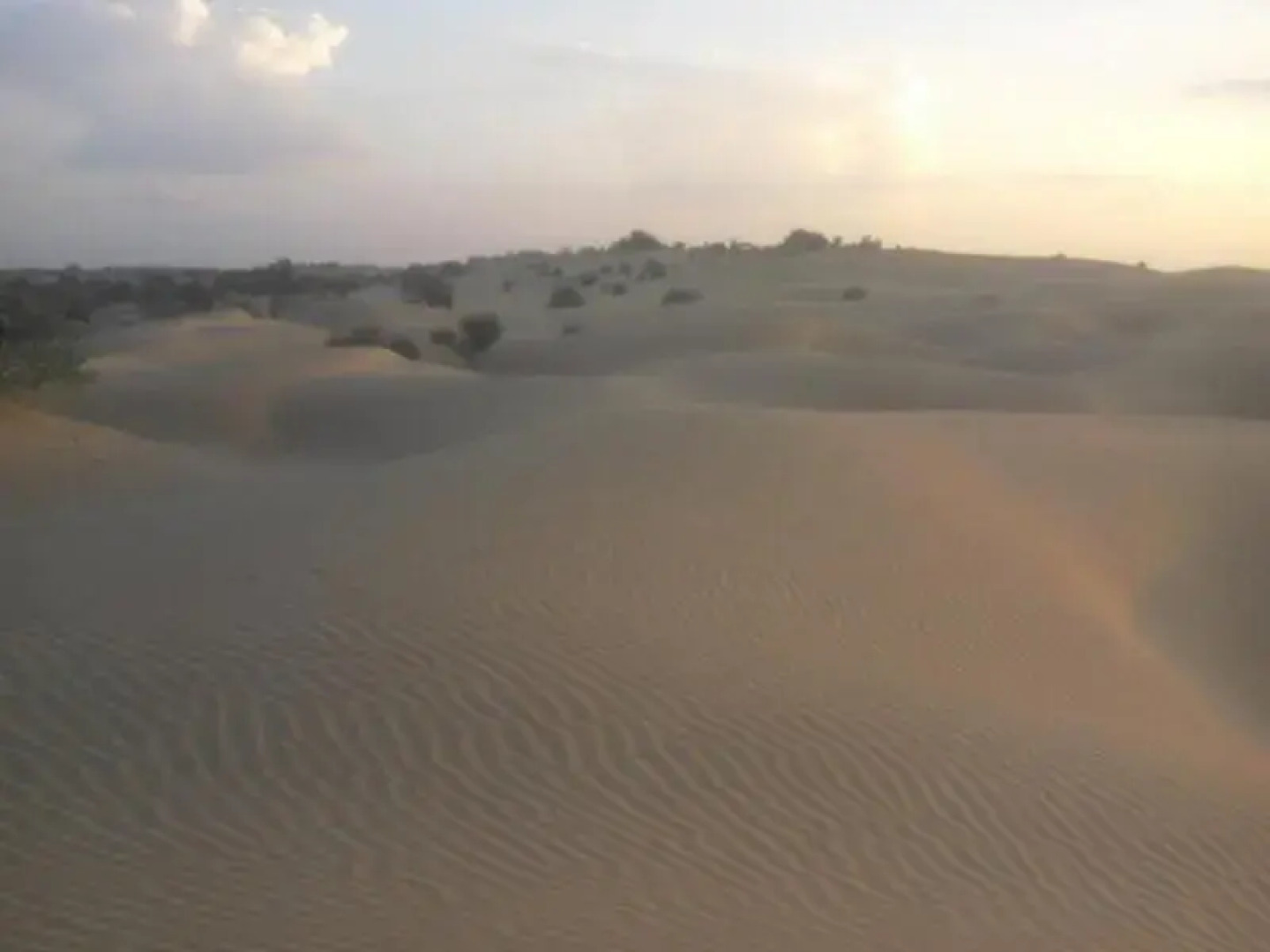 Chandani Desert Resort and Camp