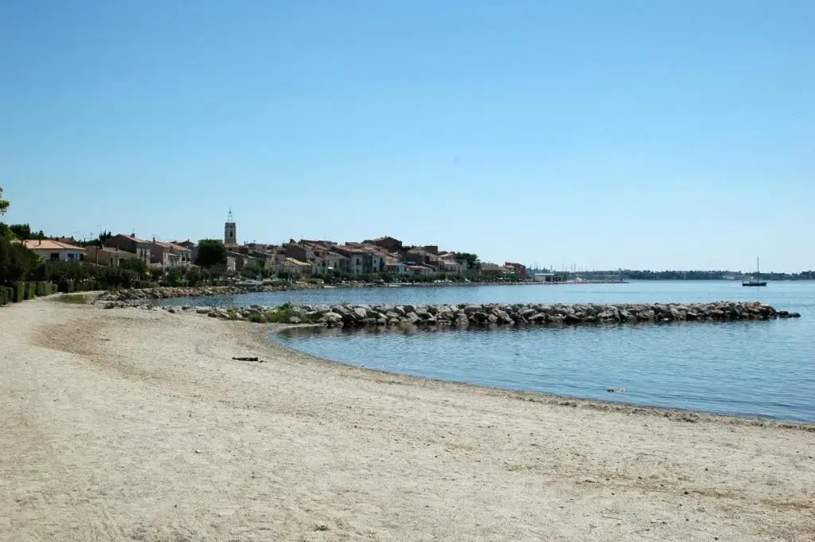 L'hippocampe