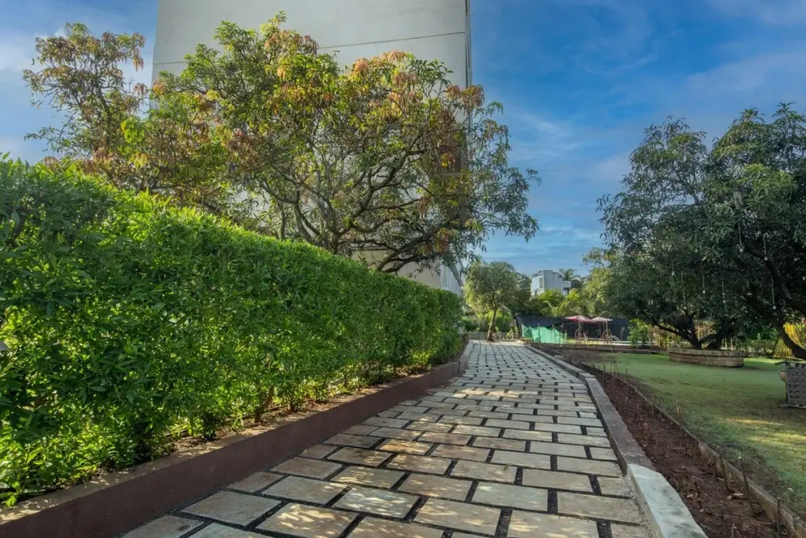 Kings Kraft Pinewood Ssan Gir