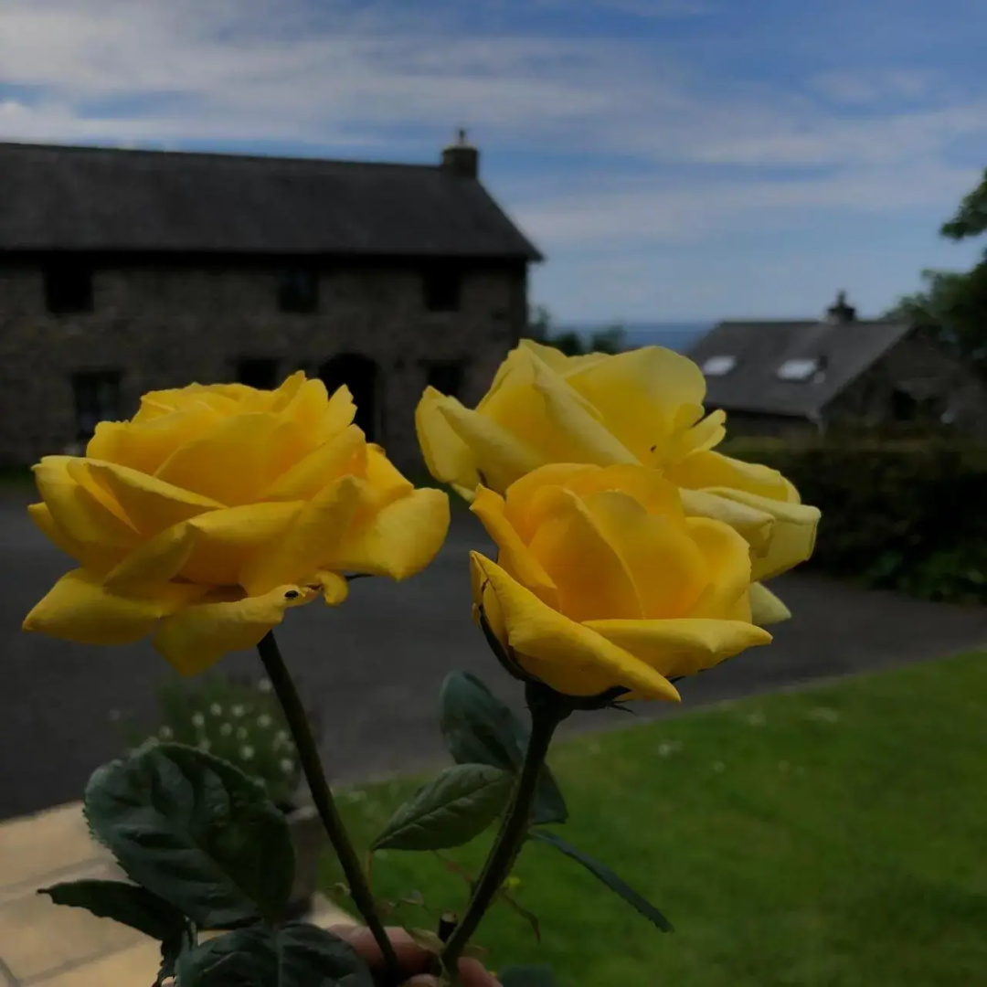 The Old Farmhouse