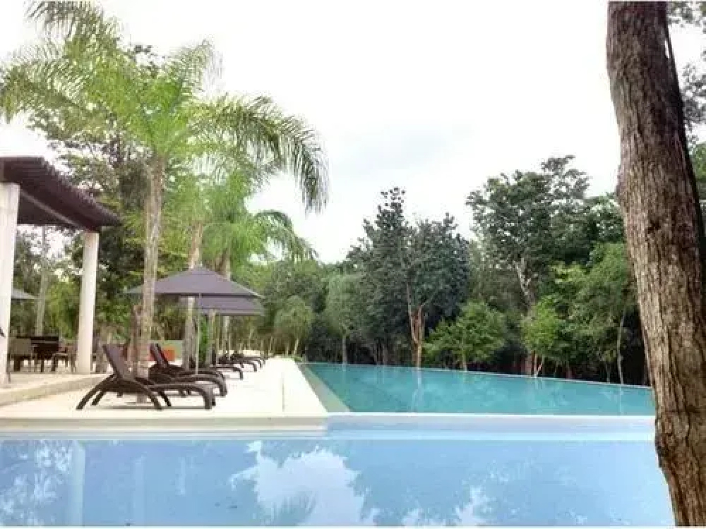 TAO Garden Luxury Condo