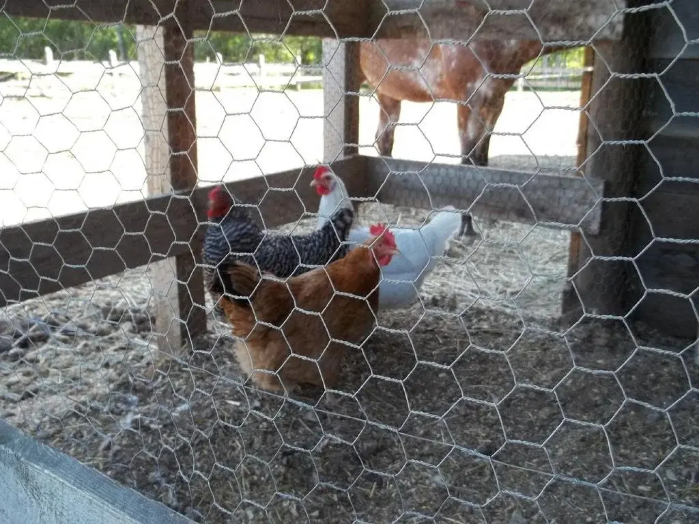 Memory Lane Vacations