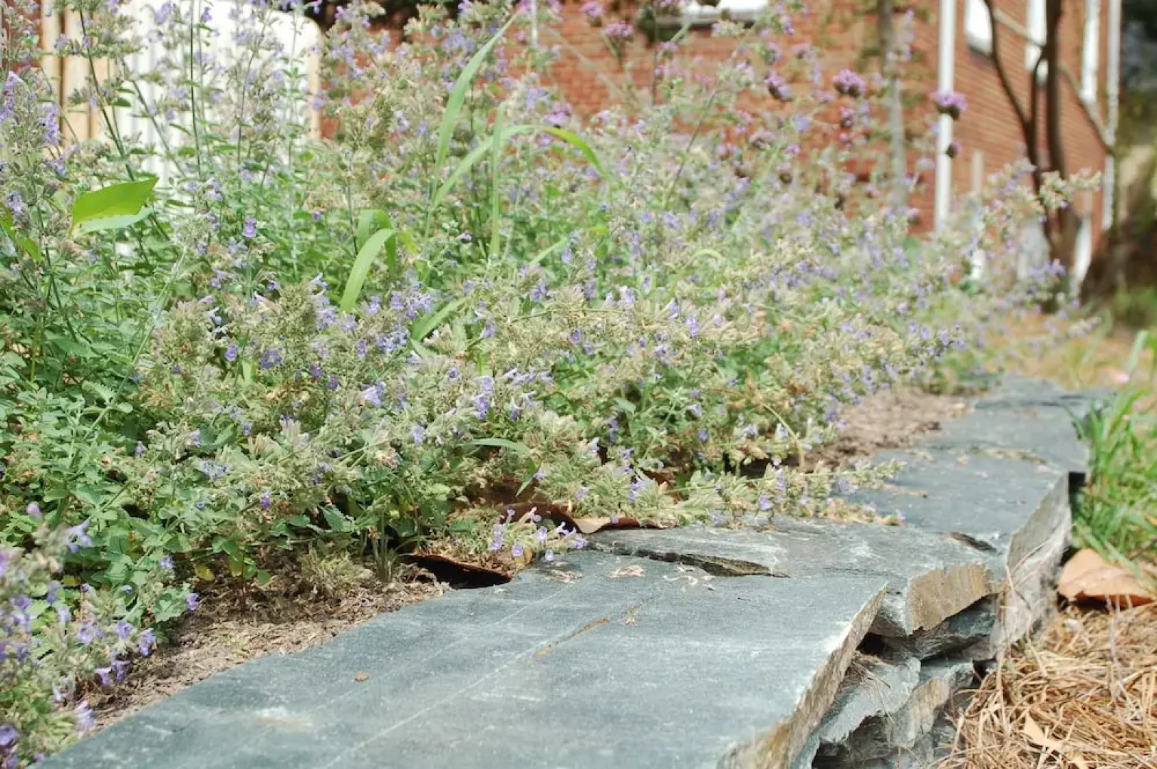 The Kings Daughters Inn