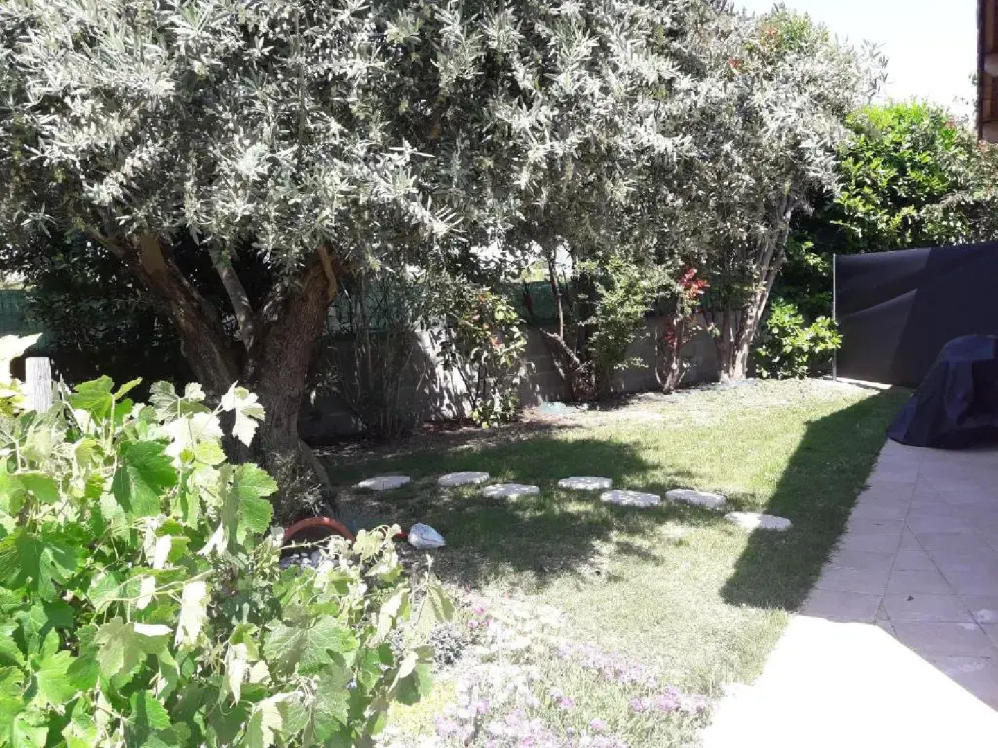 Les Cyprès Florentins