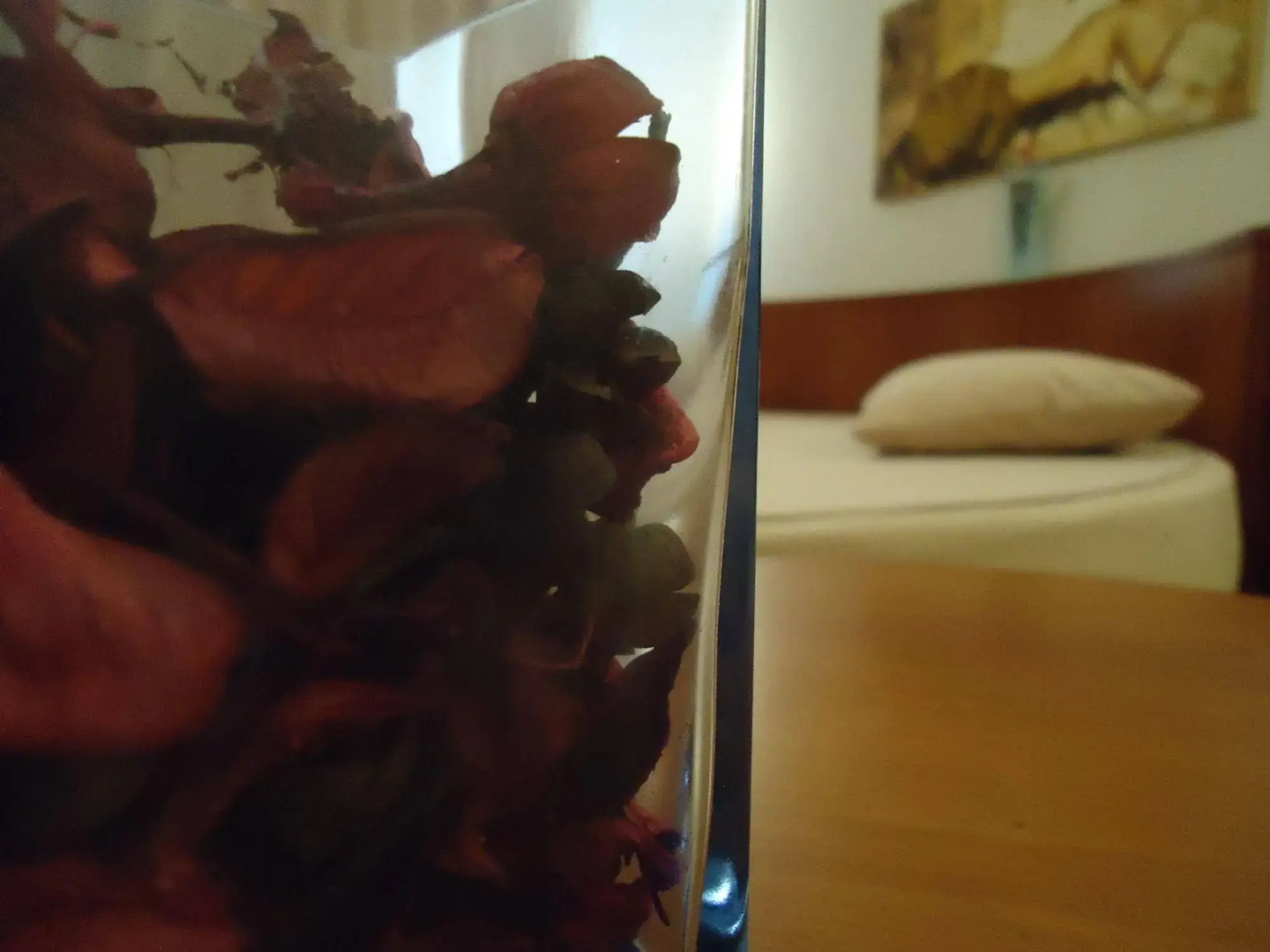 Hotel Pombeira