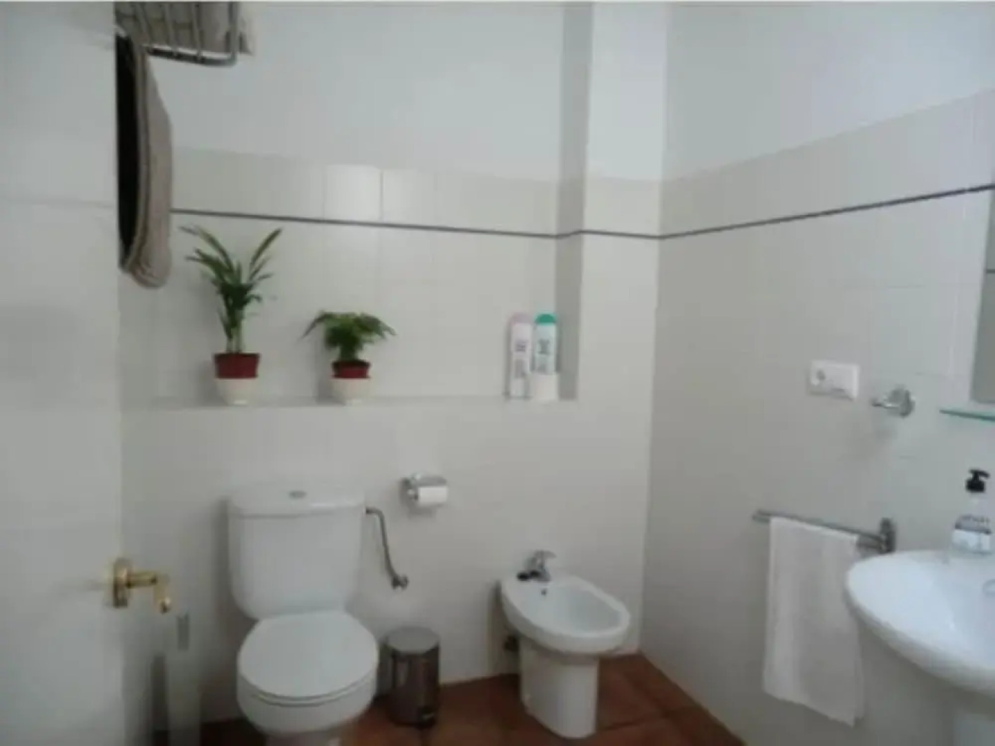 103708 -  Apartment in Grazalema