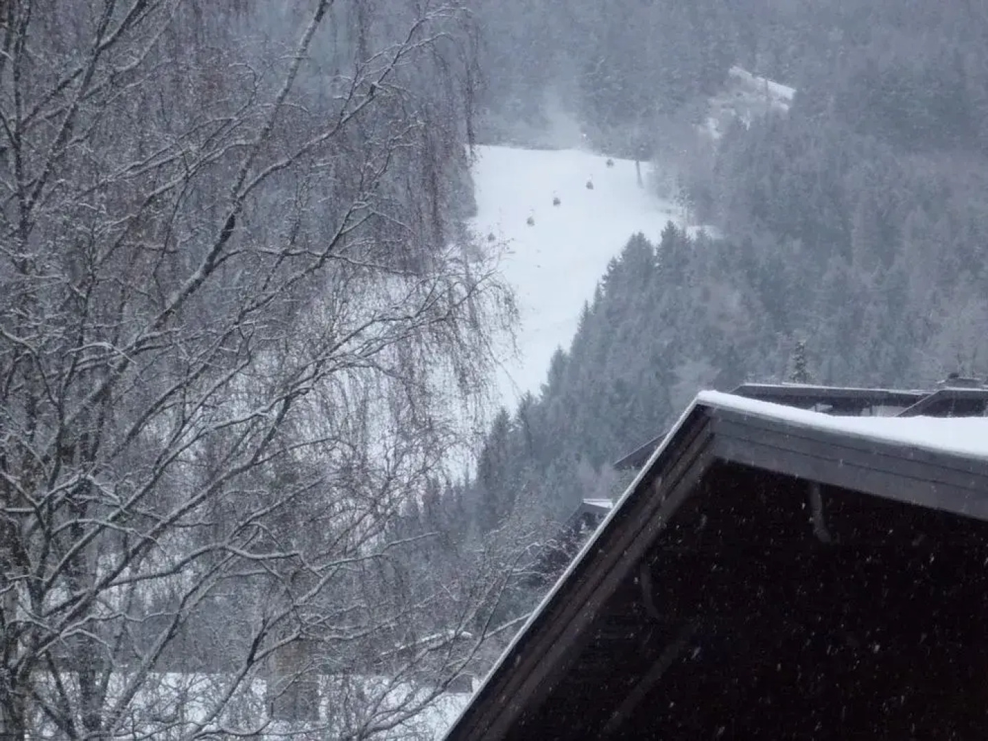 Zell Lake View & City Apartments