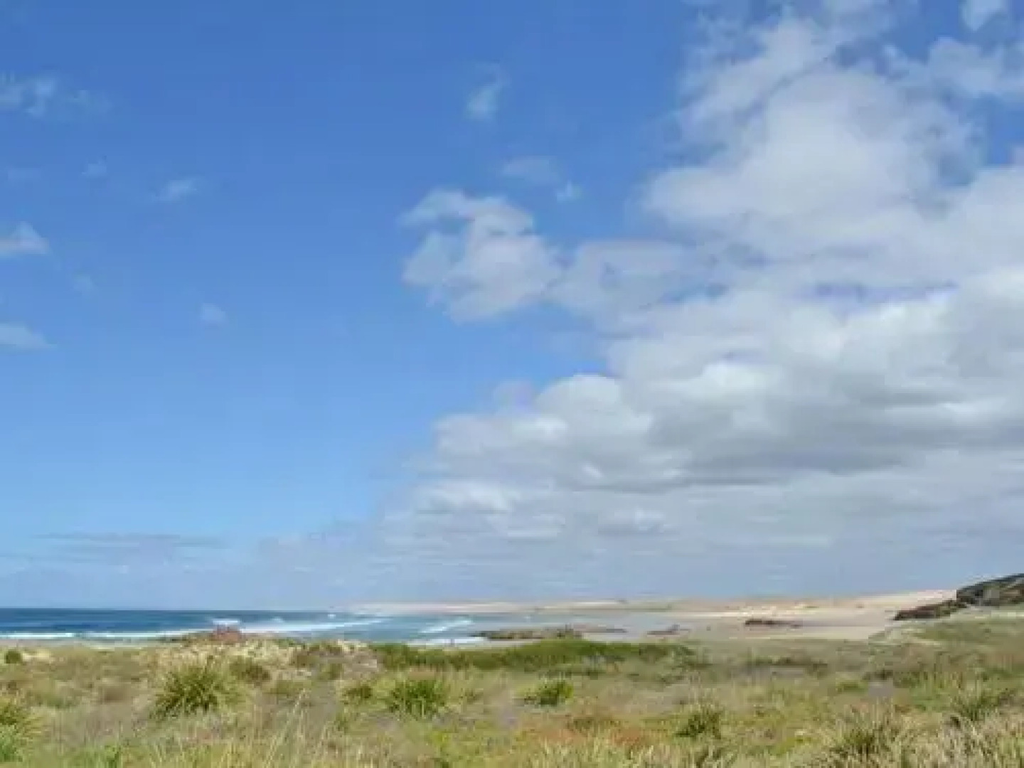 The Verandah', 9 Hanson Avenue - fantastic child friendly home