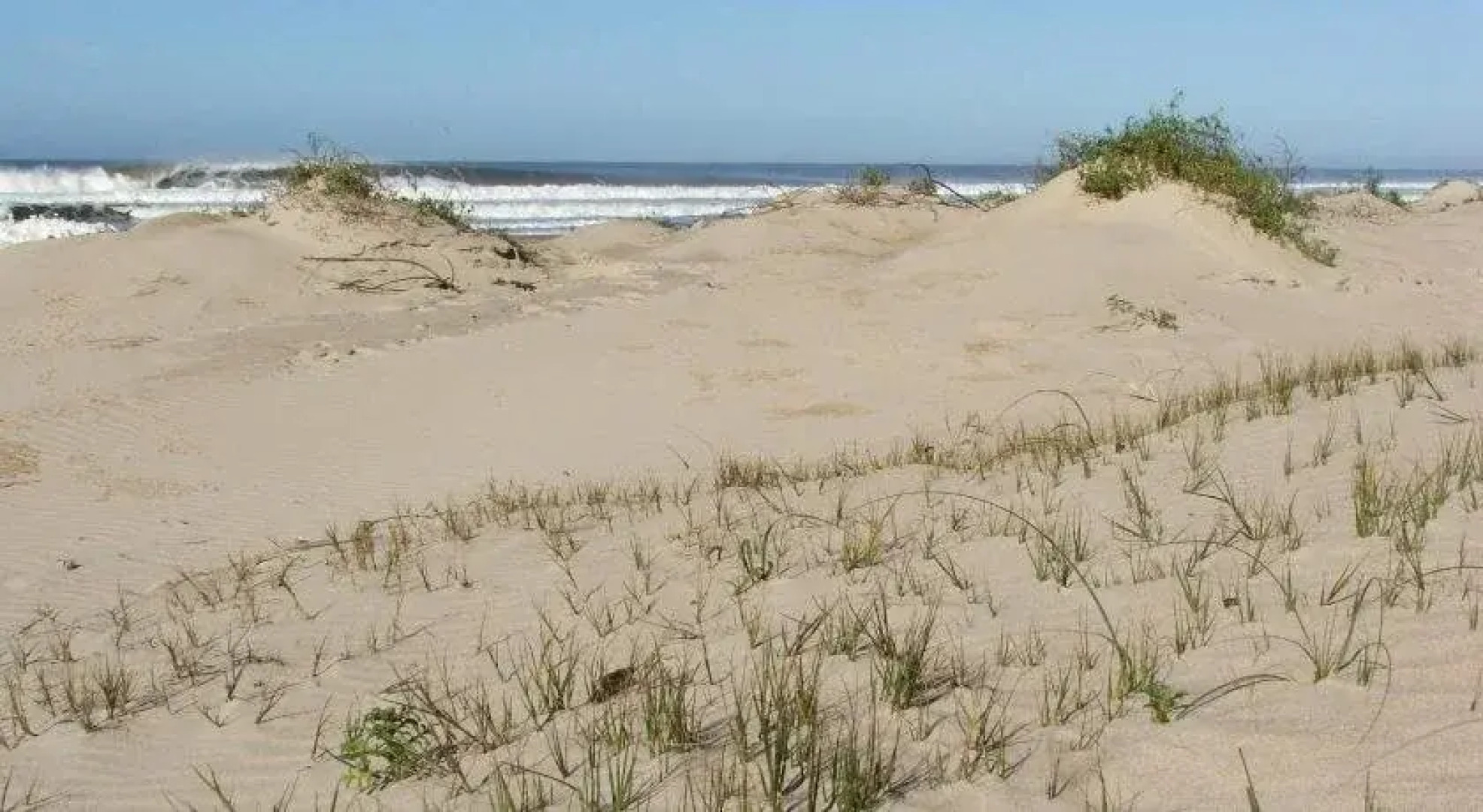 La Serena Suites Apart