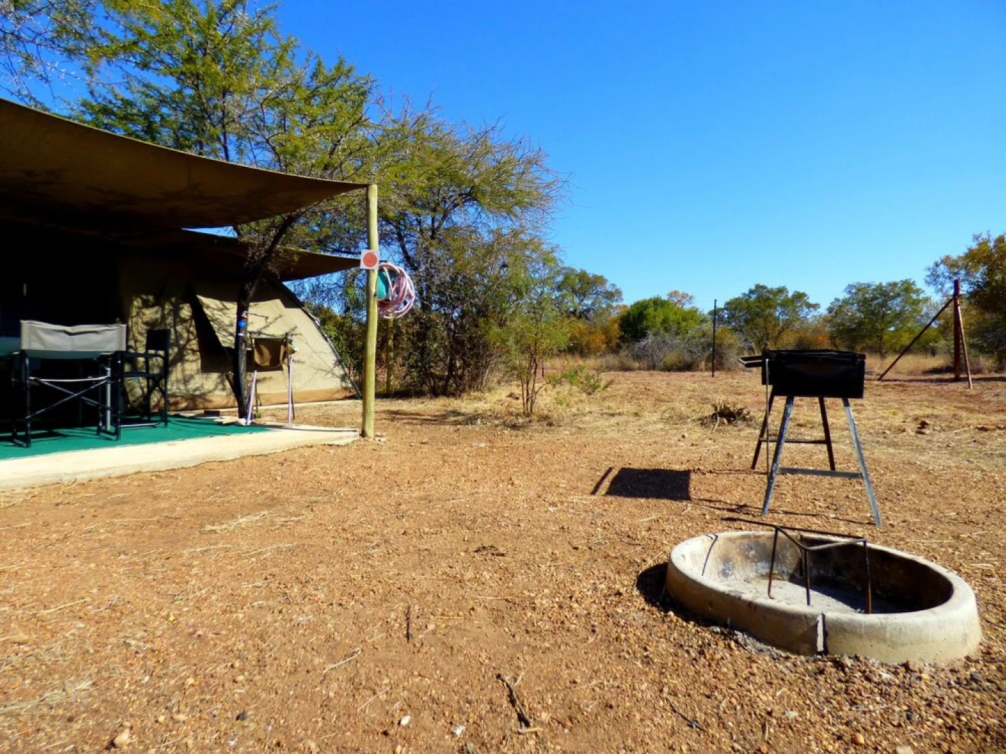 Thorn Tree Bush Camp