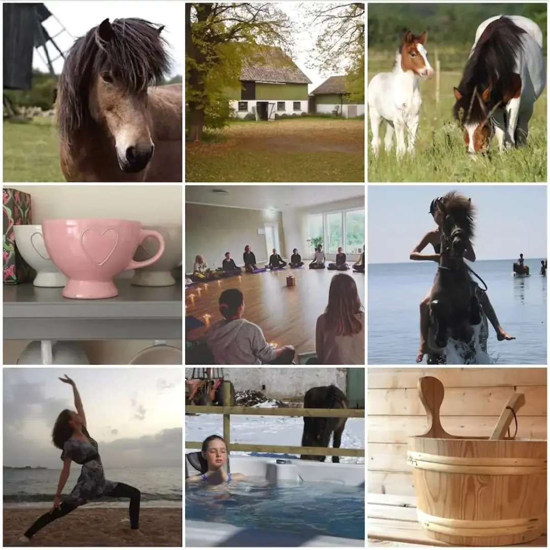 Ölands Yogastudio - Kollberggården