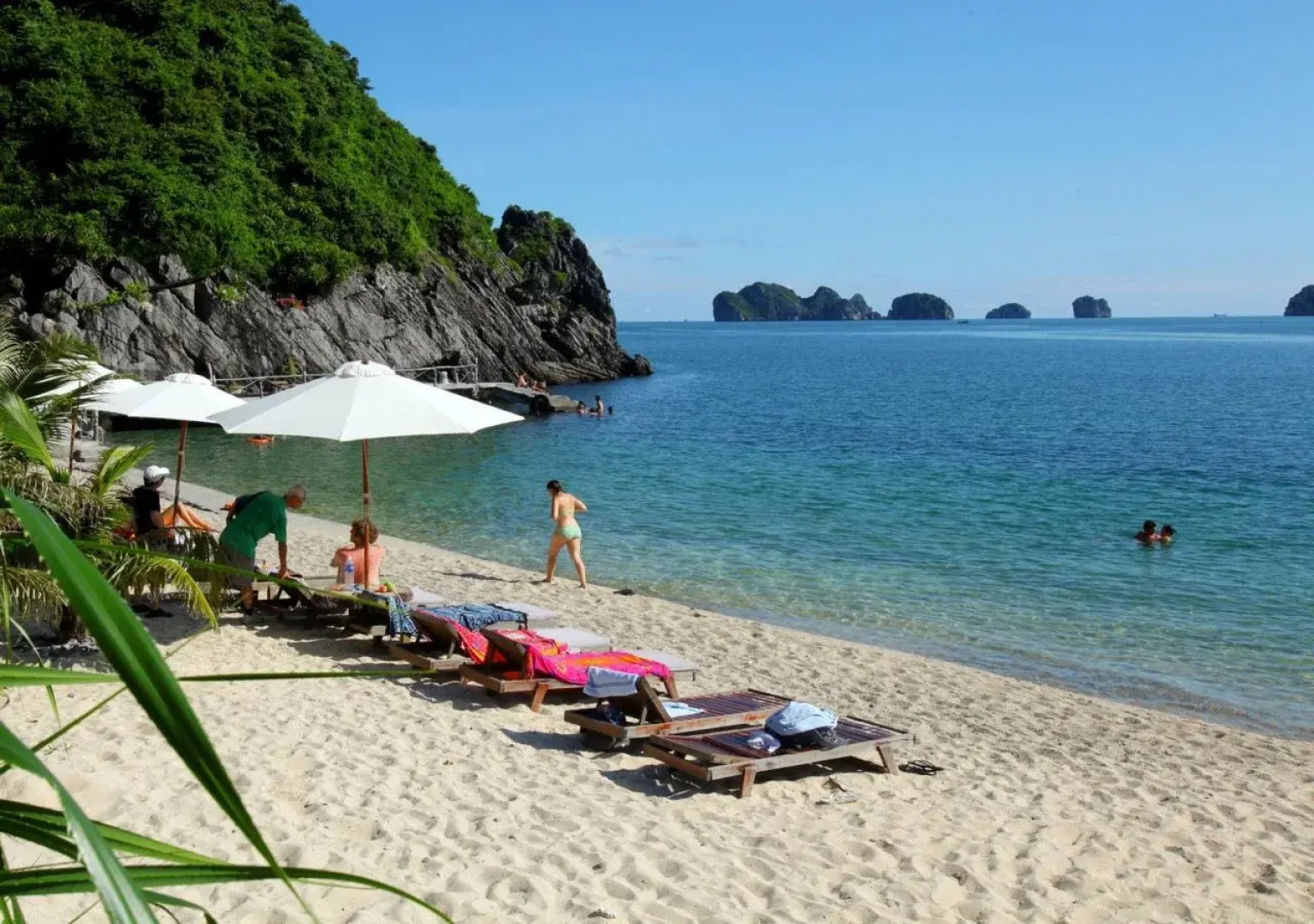 Monkey Island Resort