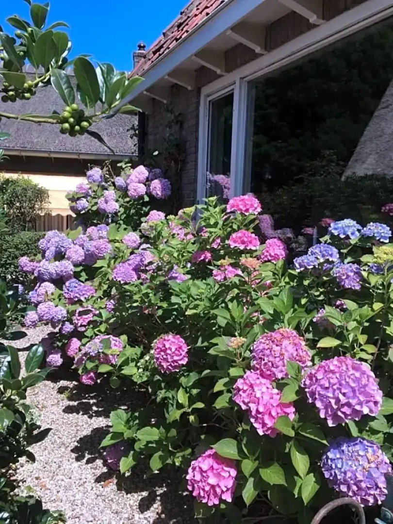 The Livingrooms Laren