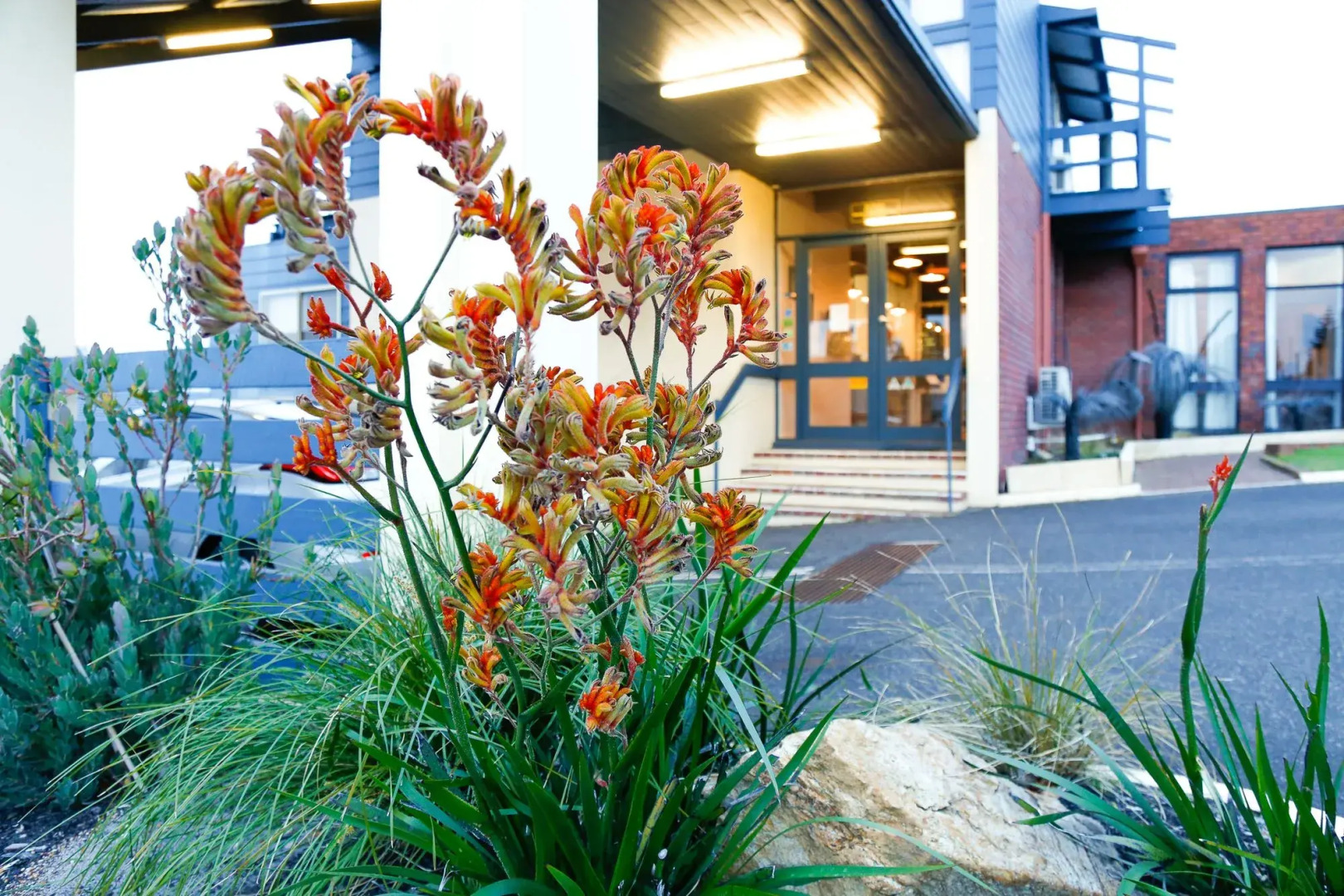 Mandala Ace Albany Hotel