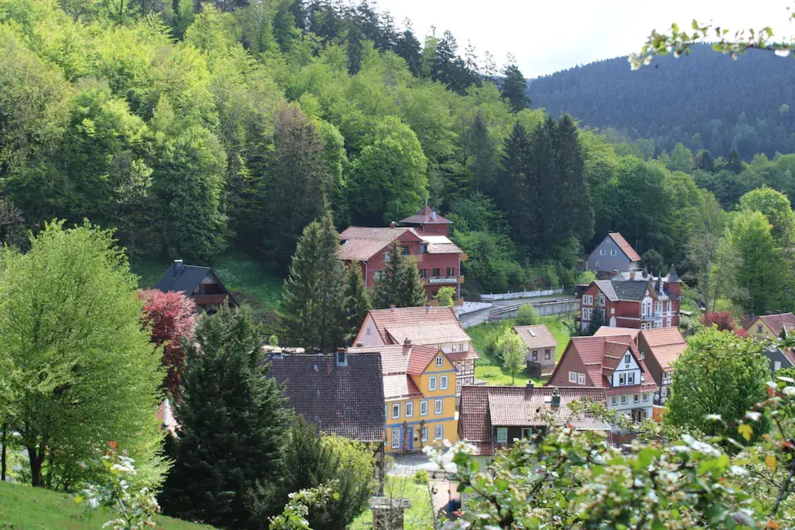 Hotel-Pension Waldhaus