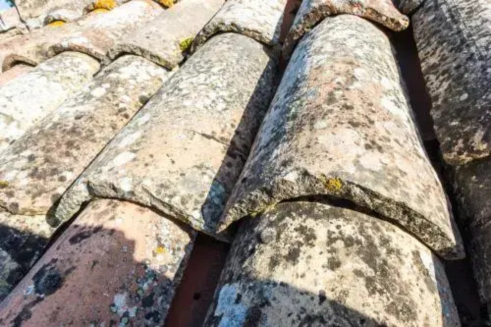 Agriturismo La Corte del Lupo