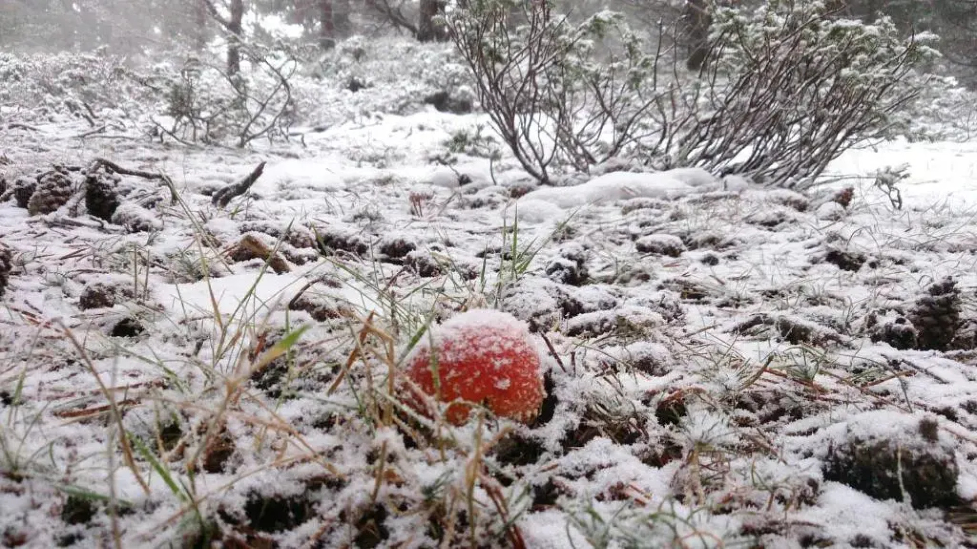 La Hosteria de Castroviejo