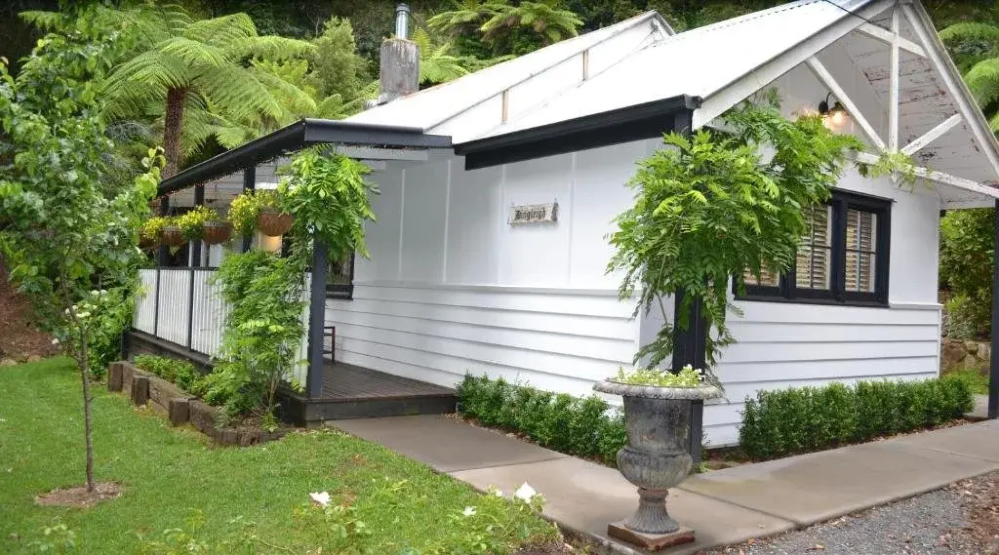 Dingleigh of Sassafras (Adults Only)