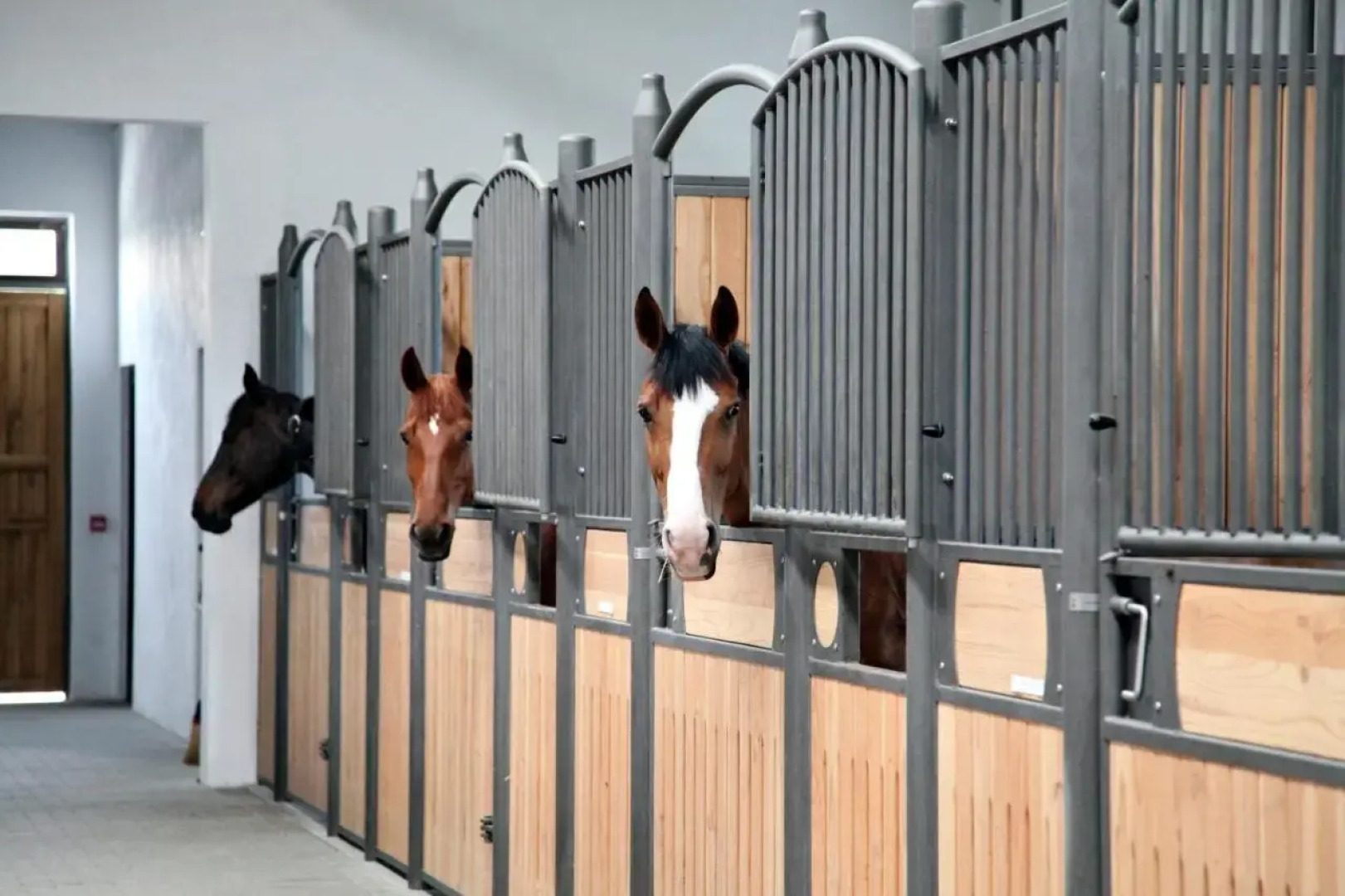 Boutique Complex Trakiets