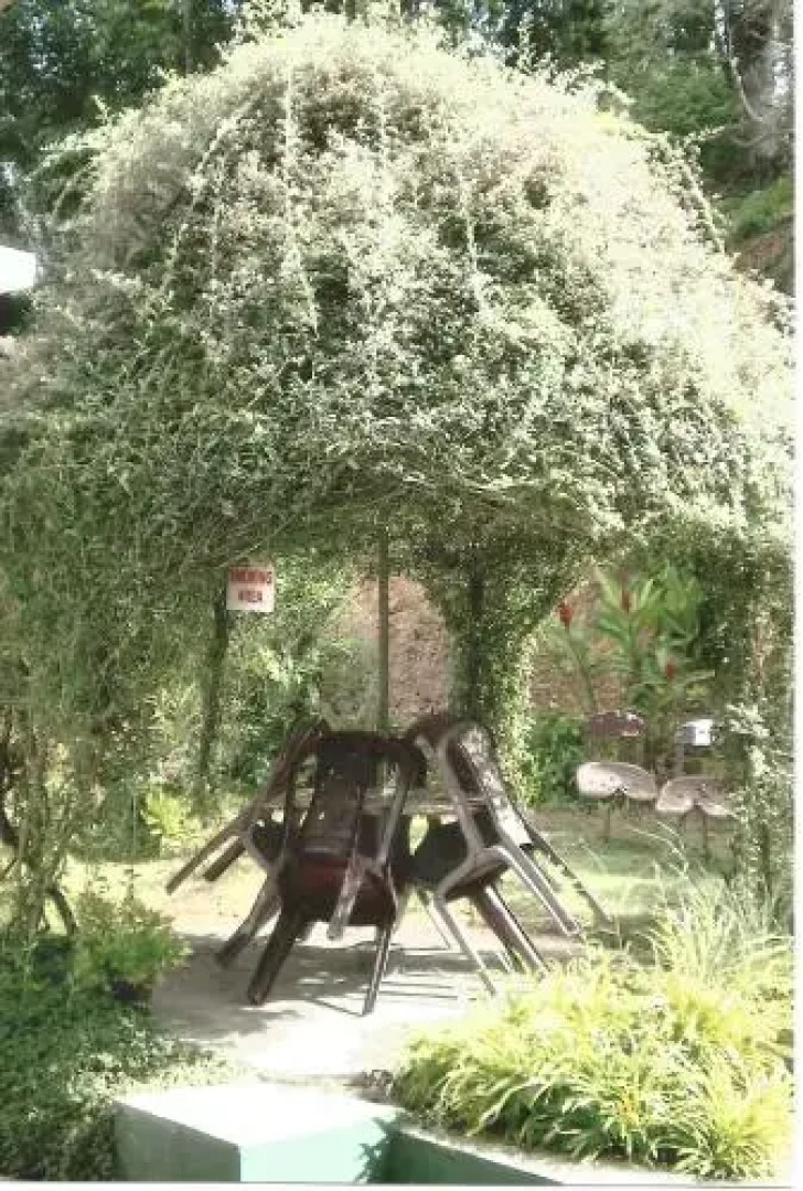 Cool Spring Rest Guesthouse