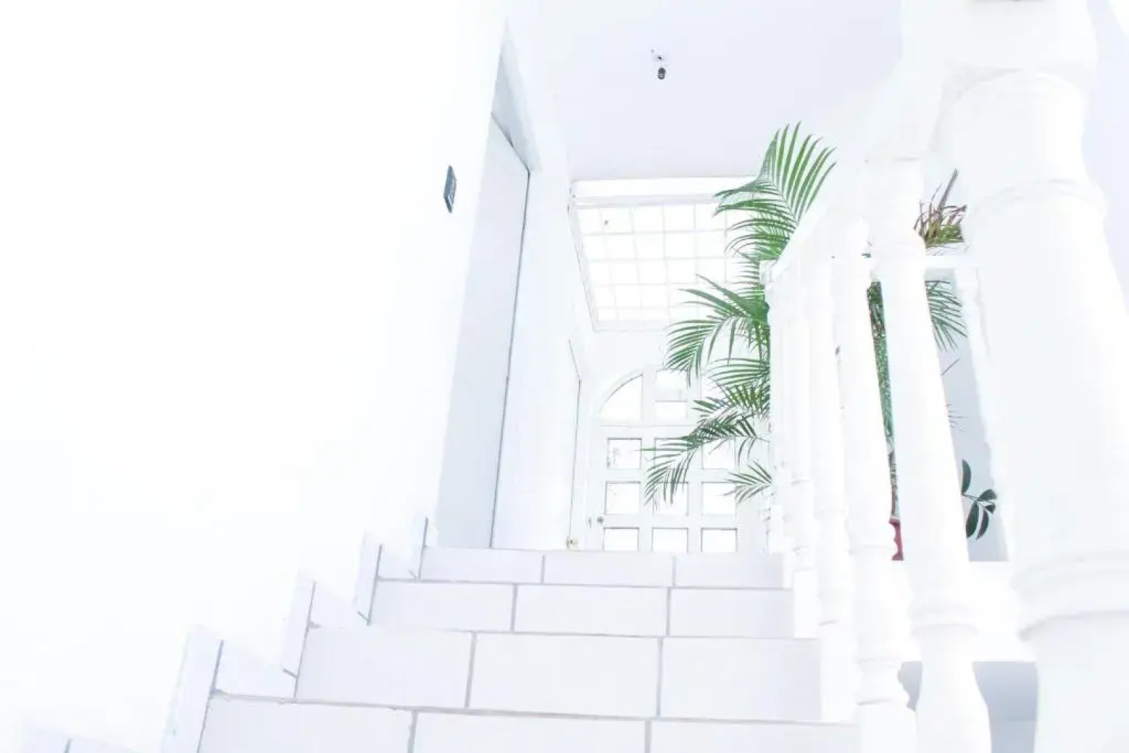 Amazing House in Manzanilla Beach- Entire House