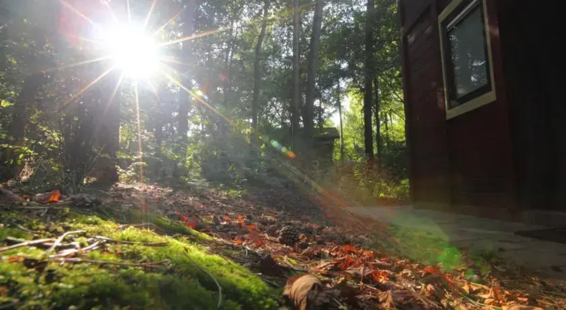 Vakantiepark Het Roekenbosch