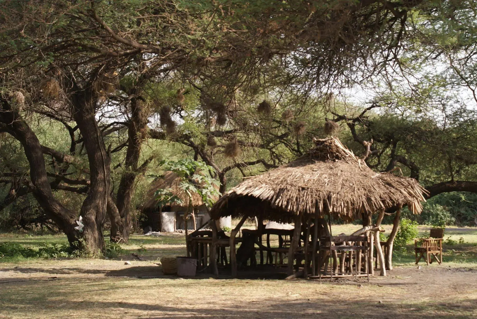 Lake Natron Tented Camp