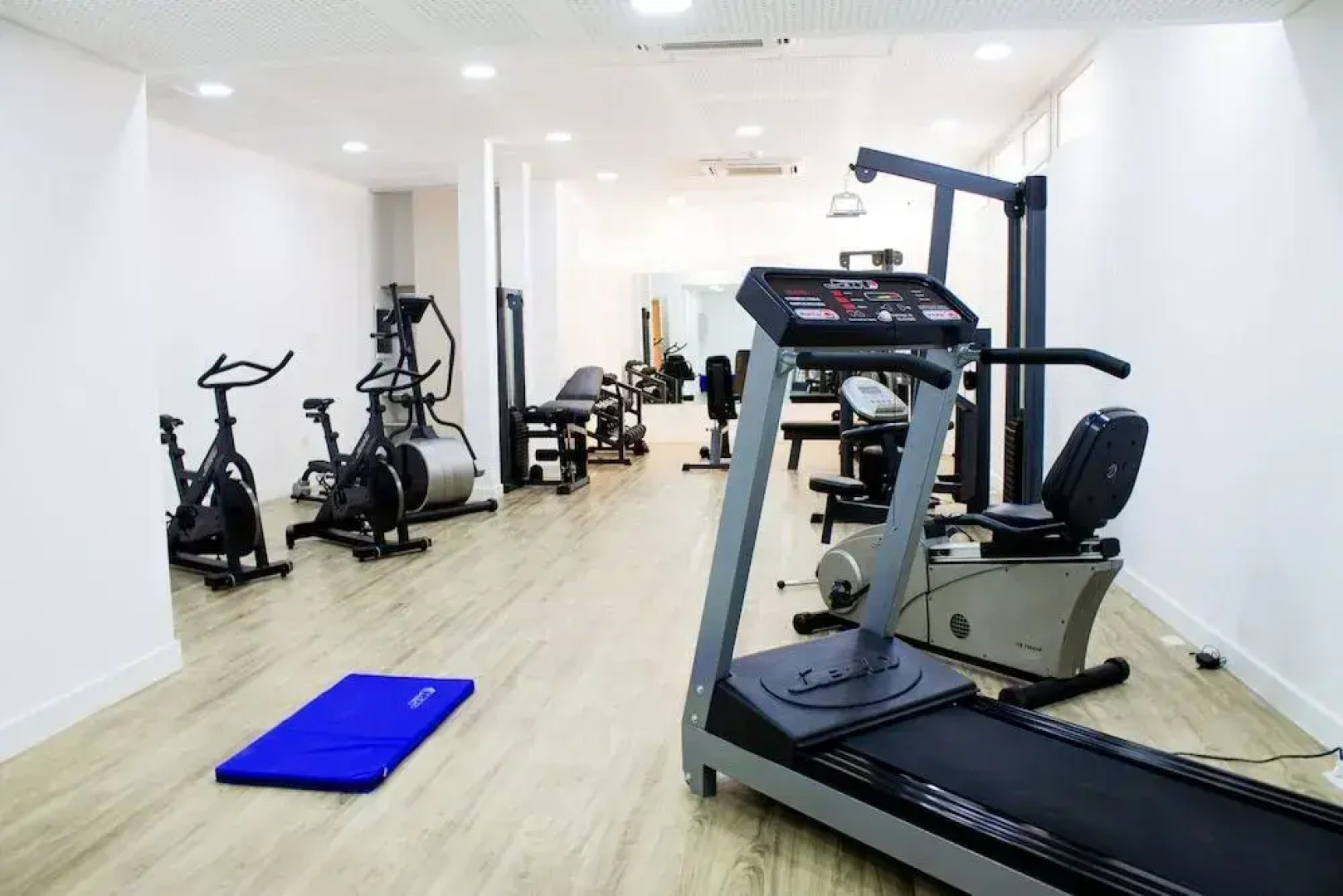 Cyan Wenelen Vaca Muerta