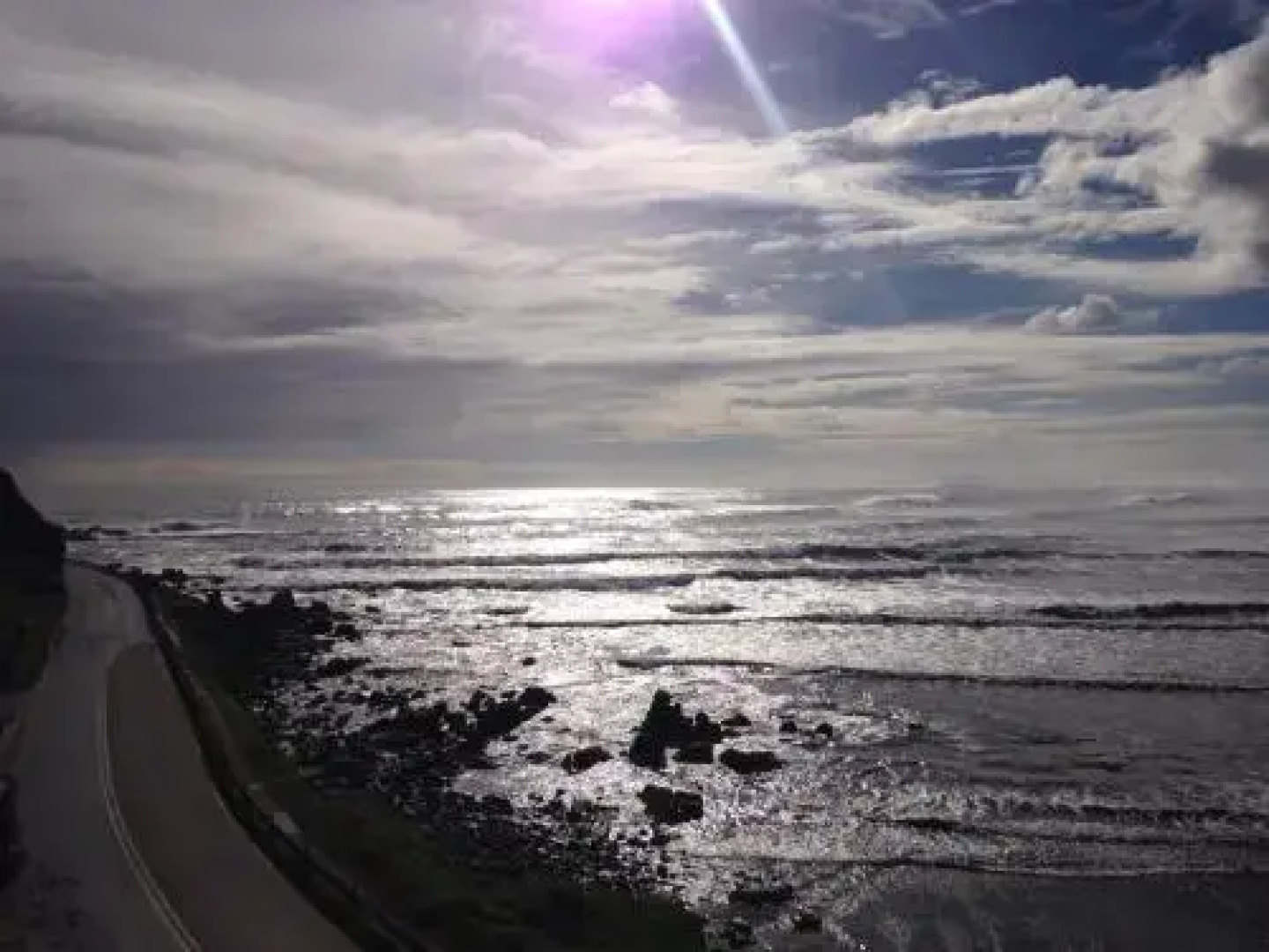 Pingüino En La Roca Cabañas